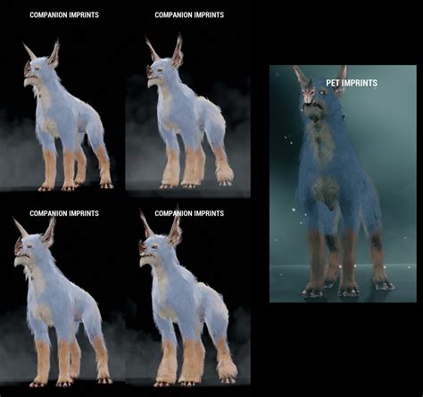 types of kubrow warframe.